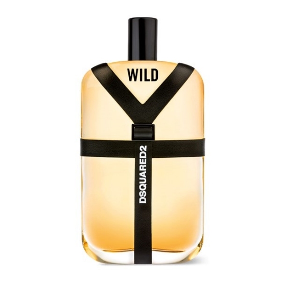 ادو تویلت مردانه دیسکوارد وایلد Dsquared Wild Eau De Toilette For Men 100ml