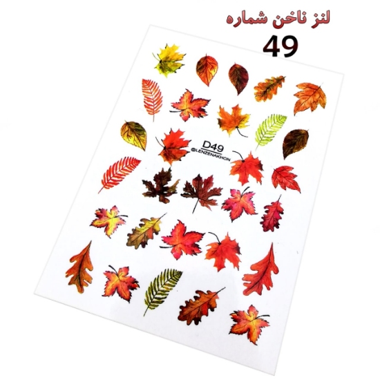 لنز ناخن شماره D49