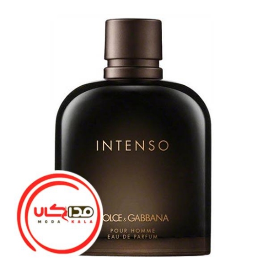 عطر ادکلن دی اند جی دلچه گابانا پور هوم اینتنسو | Dolce Gabbana Pour Homme Intenso