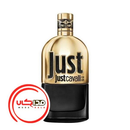 عطر ادکلن روبرتو کاوالي جاست کاوالي گلد مردانه | Roberto Cavalli Just Cavalli Gold for Him
