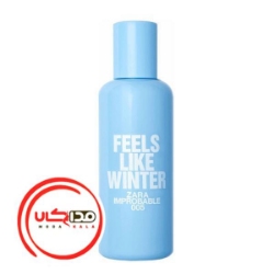 عطر ادکلن زارا فيلز لايک وينتر 005 زنانه | 005 Zara Feels Like Winter