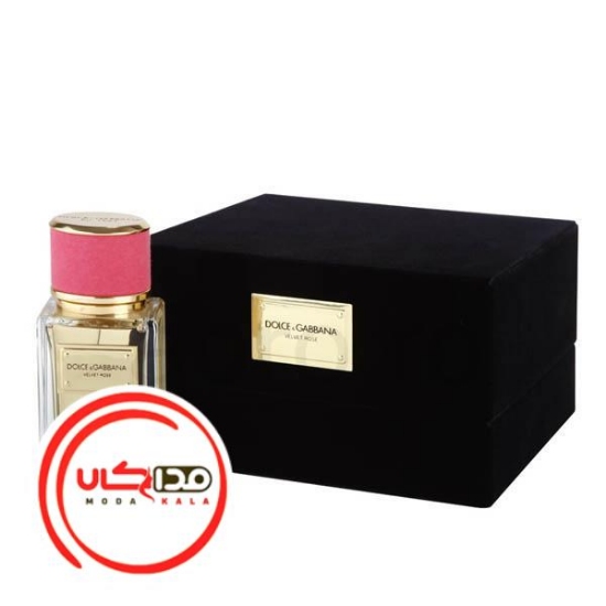 عطر ادکلن دی اند جی دلچه گابانا ولوت رز | Dolce Gabbana Velvet Rose