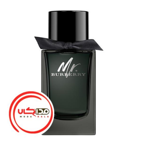 ادکلن مستر باربری ادو پرفیوم | Mr. Burberry EDP 150ml