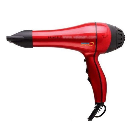 سشوار حرفه ای پرینسلی مدل PR228
