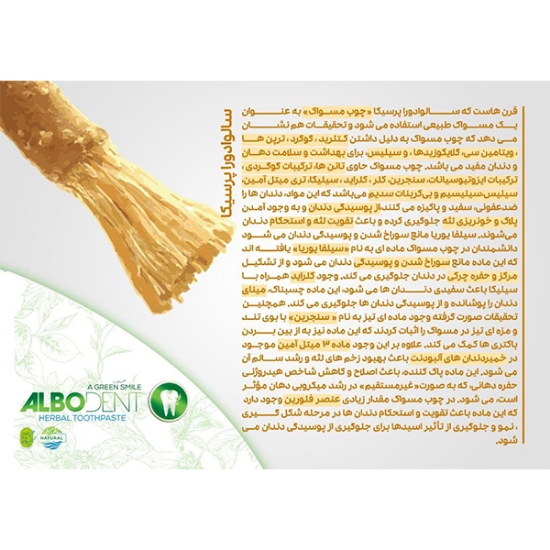 خمیر دندان آلبودنت مدل mint حجم 50 میلی لیتر